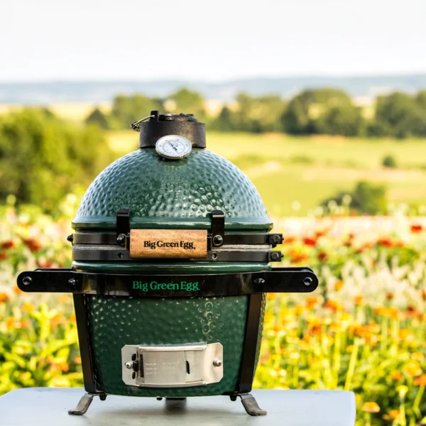 MINI Big Green Egg (Diámetro 25cm) - 117618 - Image 2