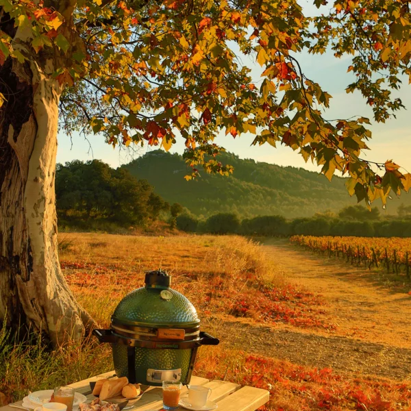 MiniMaX Big Green Egg (Diámetro 33cm) - 119650 - Image 3
